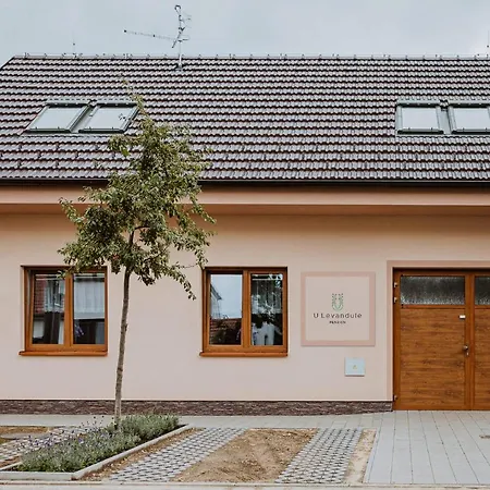 U Levandule Guest house Straznice