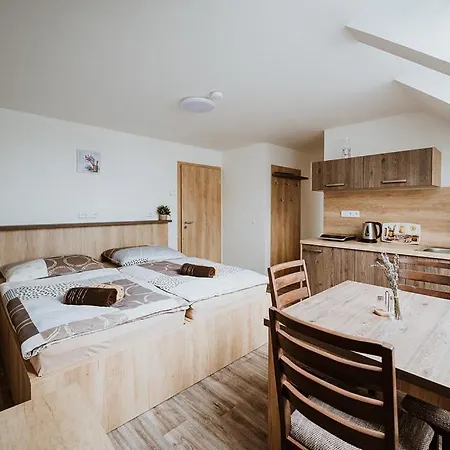 U Levandule Guest house Straznice